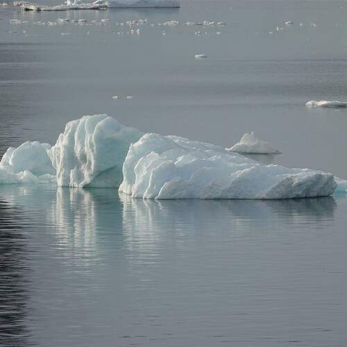 Photo #12968992