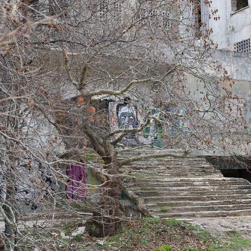 Photo #12969024