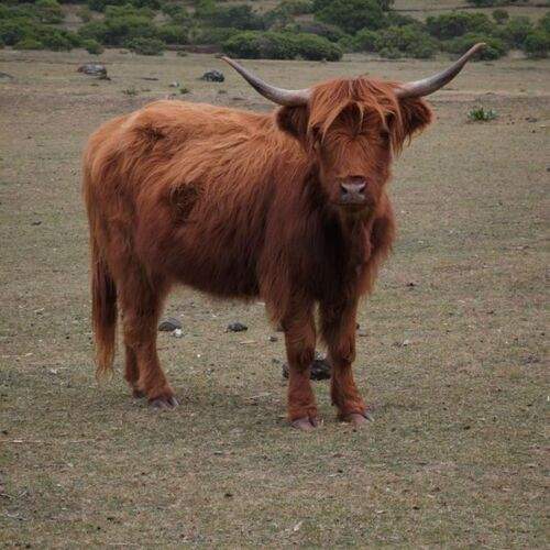 Photo #12969109
