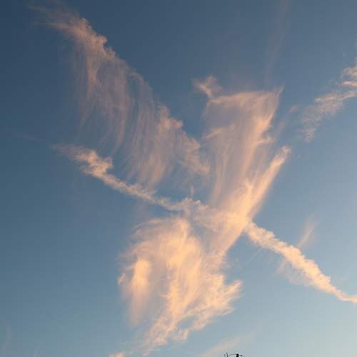 Photo #12969243