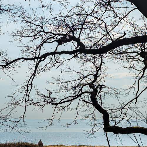 Photo #12969419
