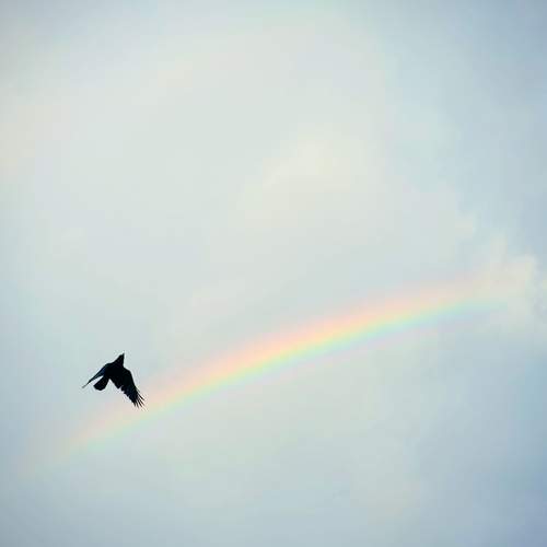 Wings of hope