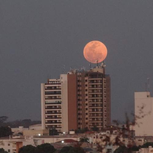 Photo #12969706