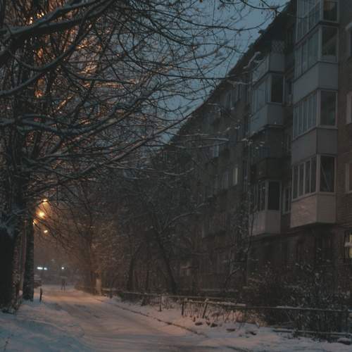 Photo #12969733