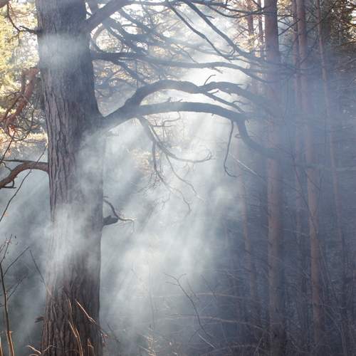 Photo #12969741