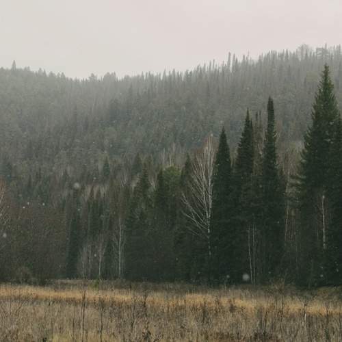 Photo #12969742