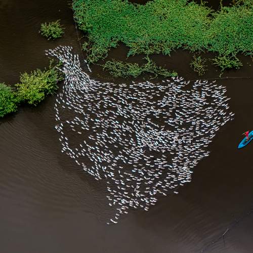 Photo #12969785