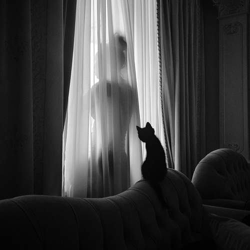 Photo #12969890