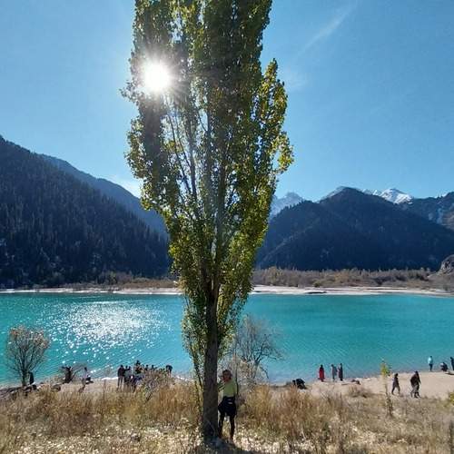Photo #12969953