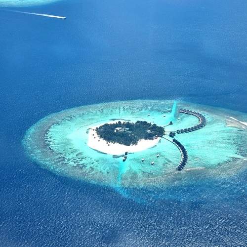 Photo #12970291
