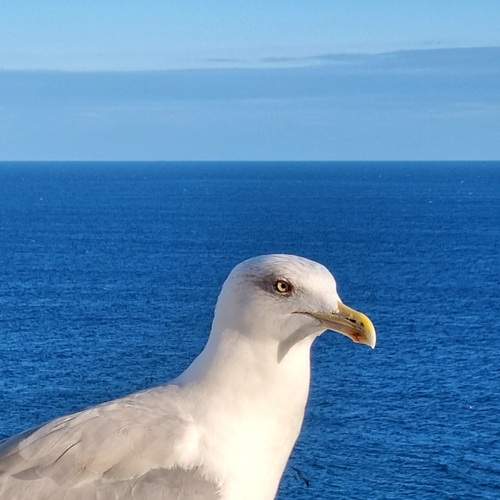 Photo #12970325