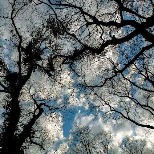 Photo #12970725