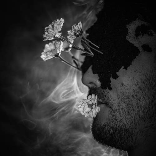 Внутри природы