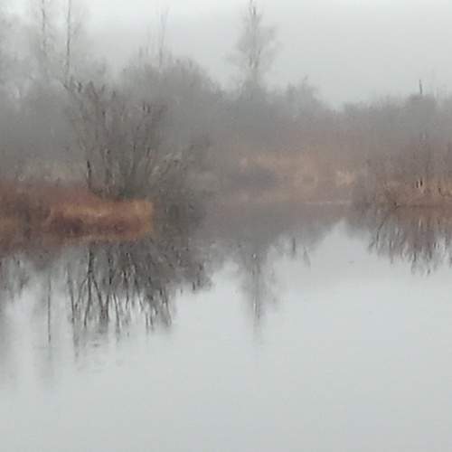 Photo #12970955