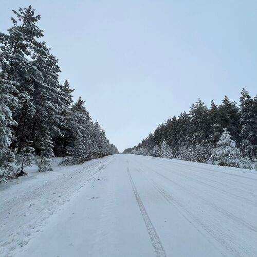 Photo #12971072