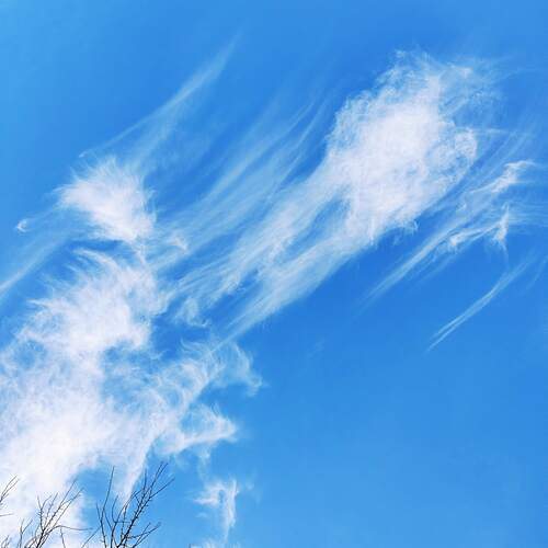 Photo #12971127