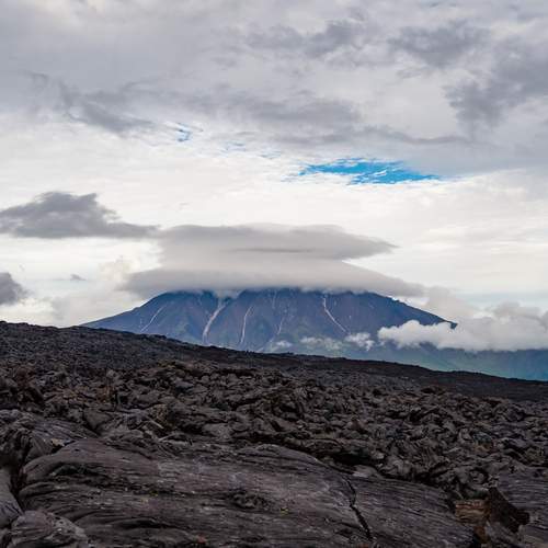 Photo #12971205