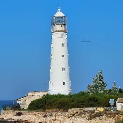 Photo #12971527