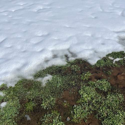 Photo #12971610