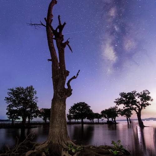 Фотография #12971648