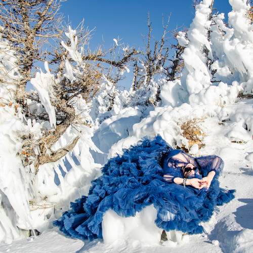 Photo #12971738