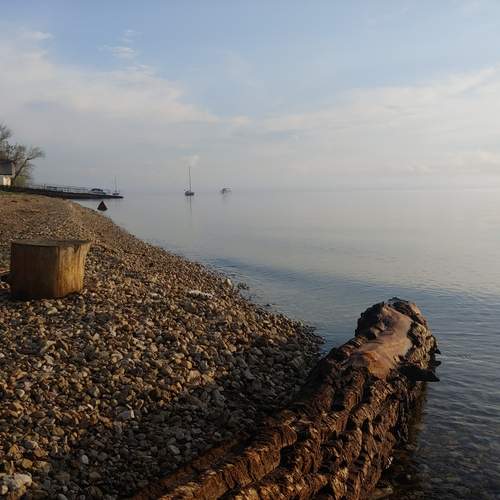 Photo #12972582