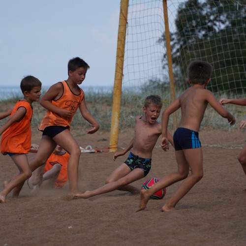 Photo #12972683