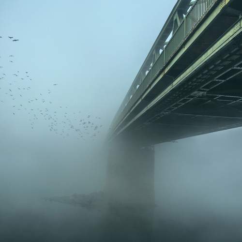 Photo #12972721