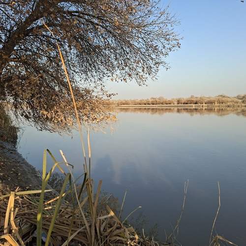 Photo #12972793
