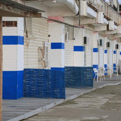 Photo #12972930