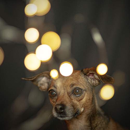 Фотография #12972937