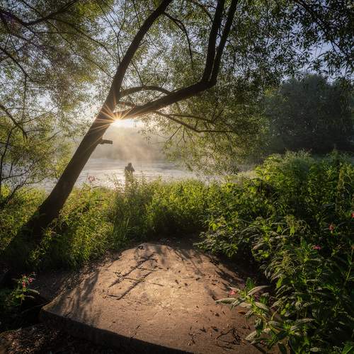 Photo #12972958