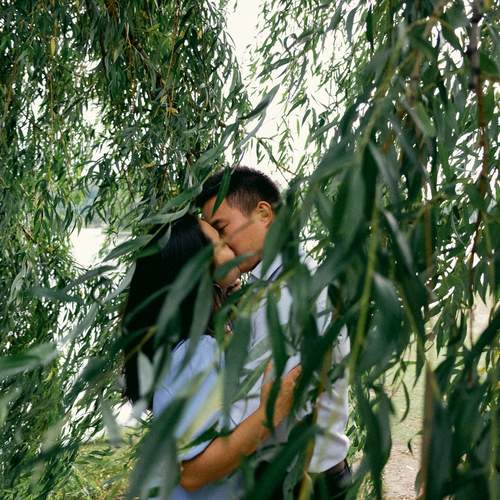 Photo #12973183