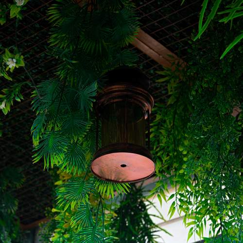 Photo #12973224