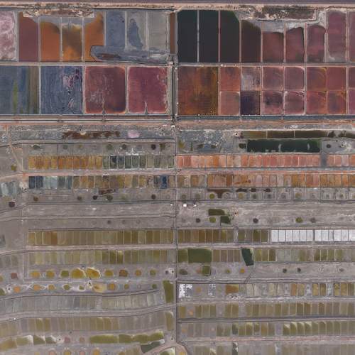 A Palette of Time