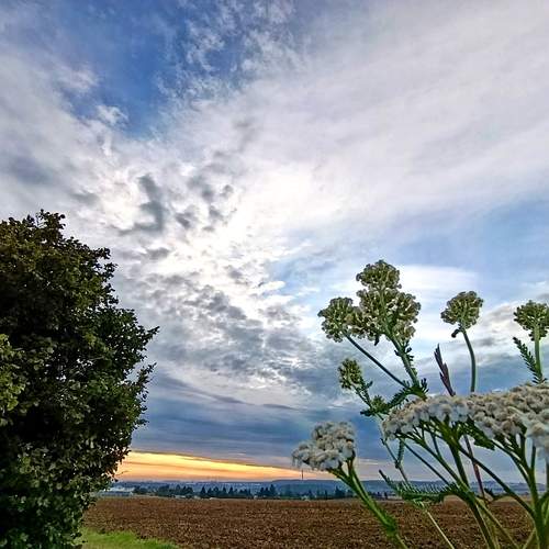 Photo #12973403