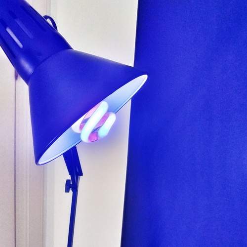 Photo #12973539
