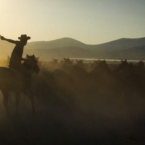 Photo #12973602