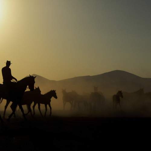 Photo #12973603