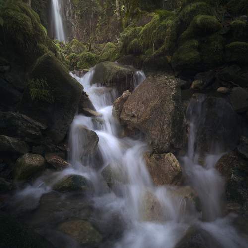 Фотография #12973663