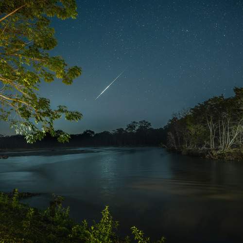 Photo #12973665