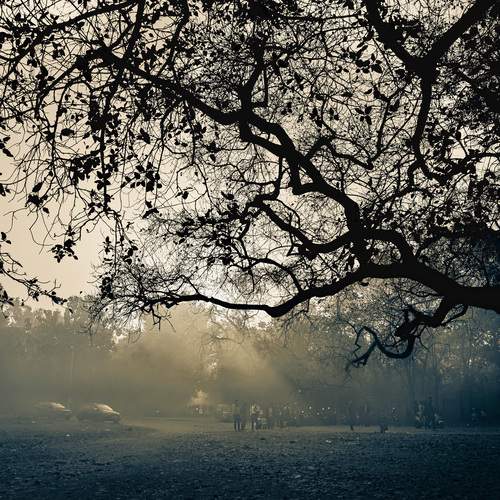 Photo #12973728