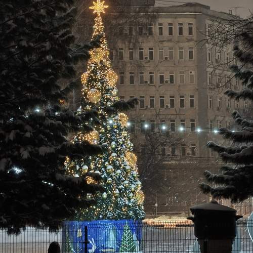 Photo #12974028