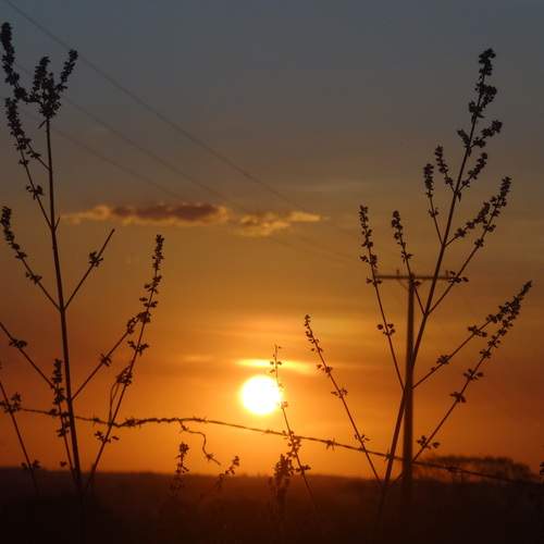 Photo #12974030