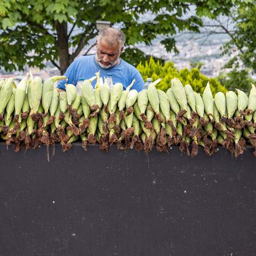 Photo #12974126
