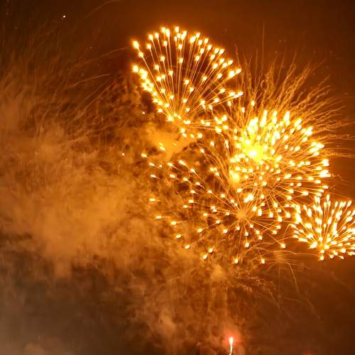 Photo #12974212