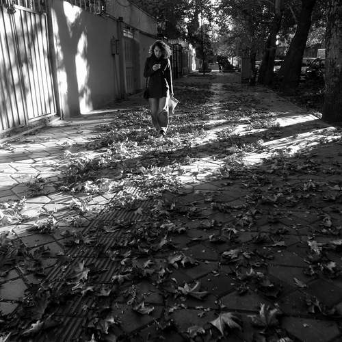 Photo #12974478