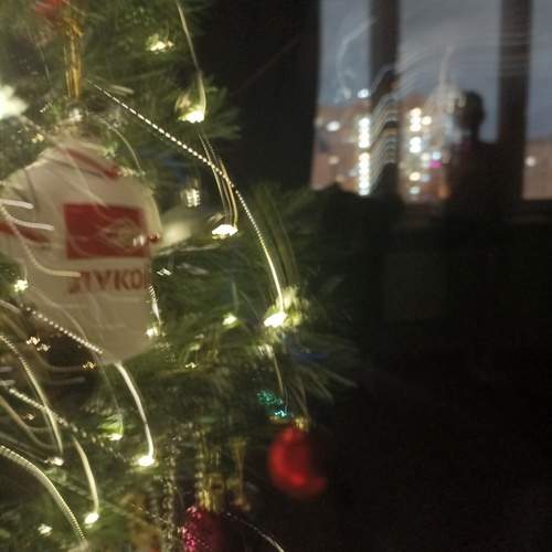 Photo #12974579