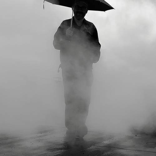Photo #12974620