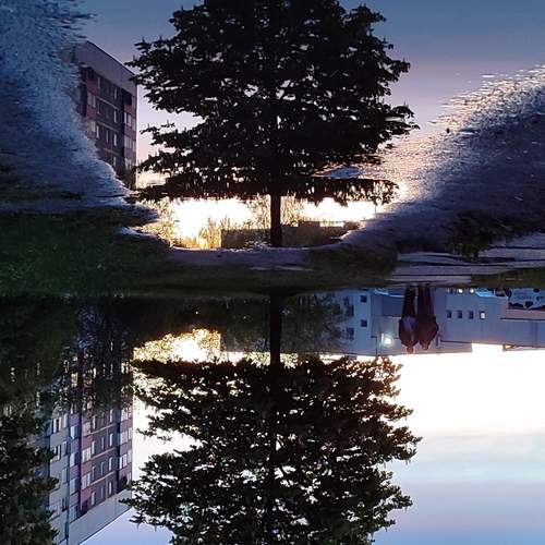 Photo #12974687